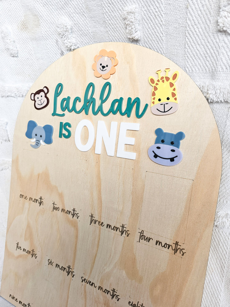 Safari Birthday Photo Board
