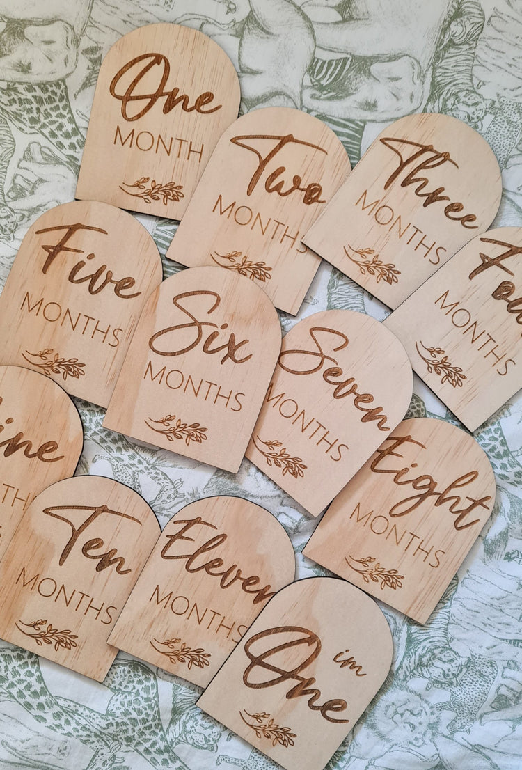 Arch Monthly Milestone Disc's