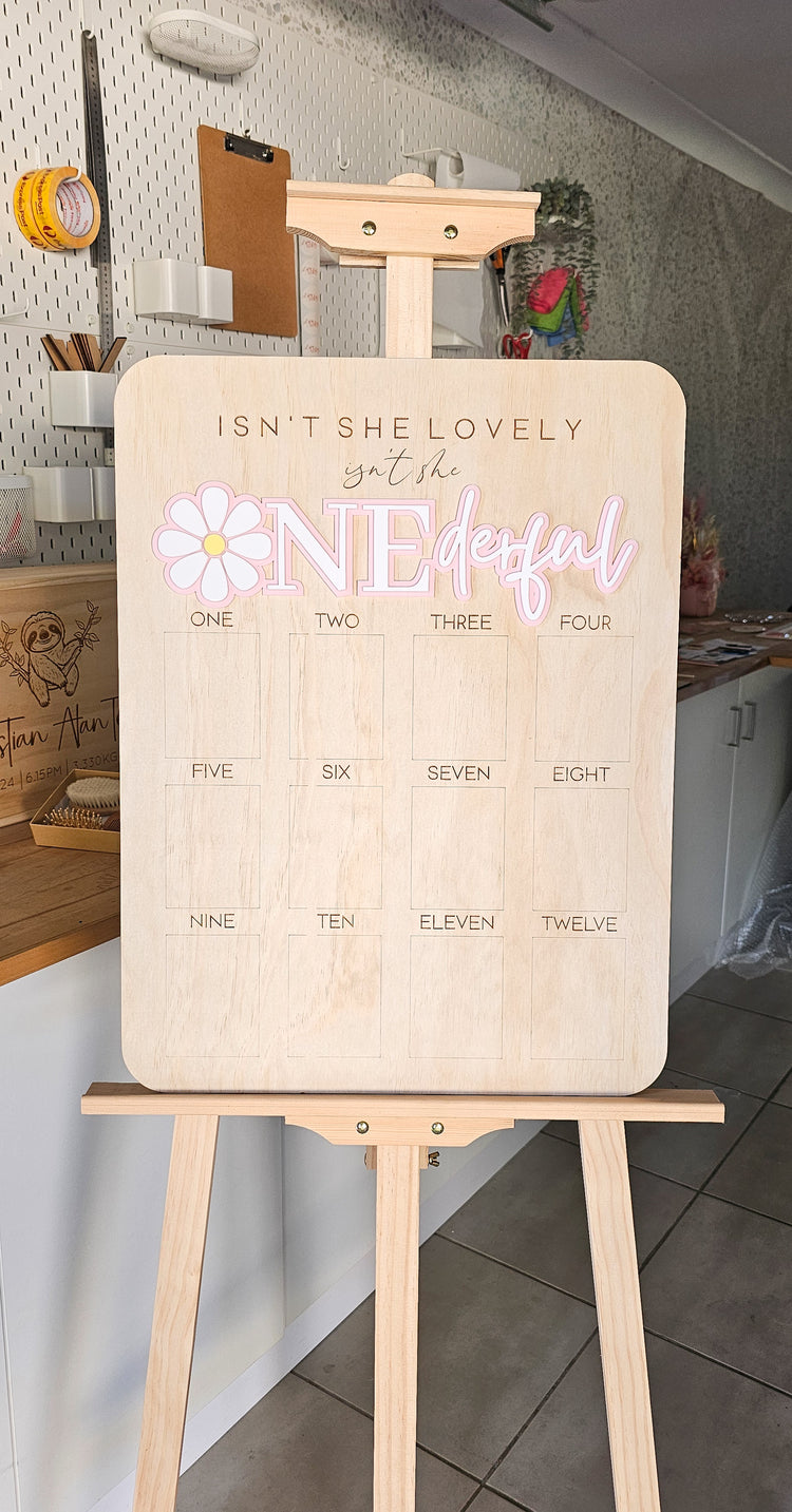 Isn't she lovely - Isn't she Onederful Birthday Photo Board