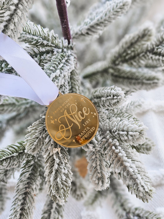 Santa's Nice list Medal