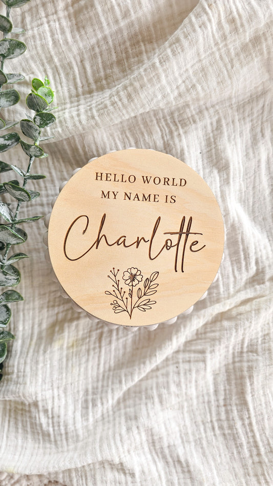 Hello World - my name is plaque
