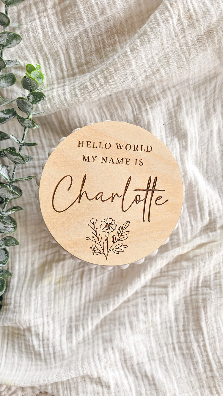 Hello World - my name is plaque