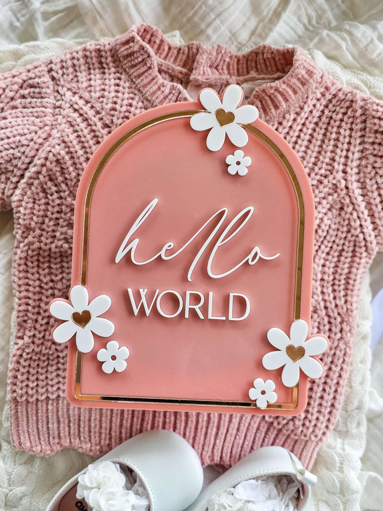 Hello World Acrylic Daisy Plaque