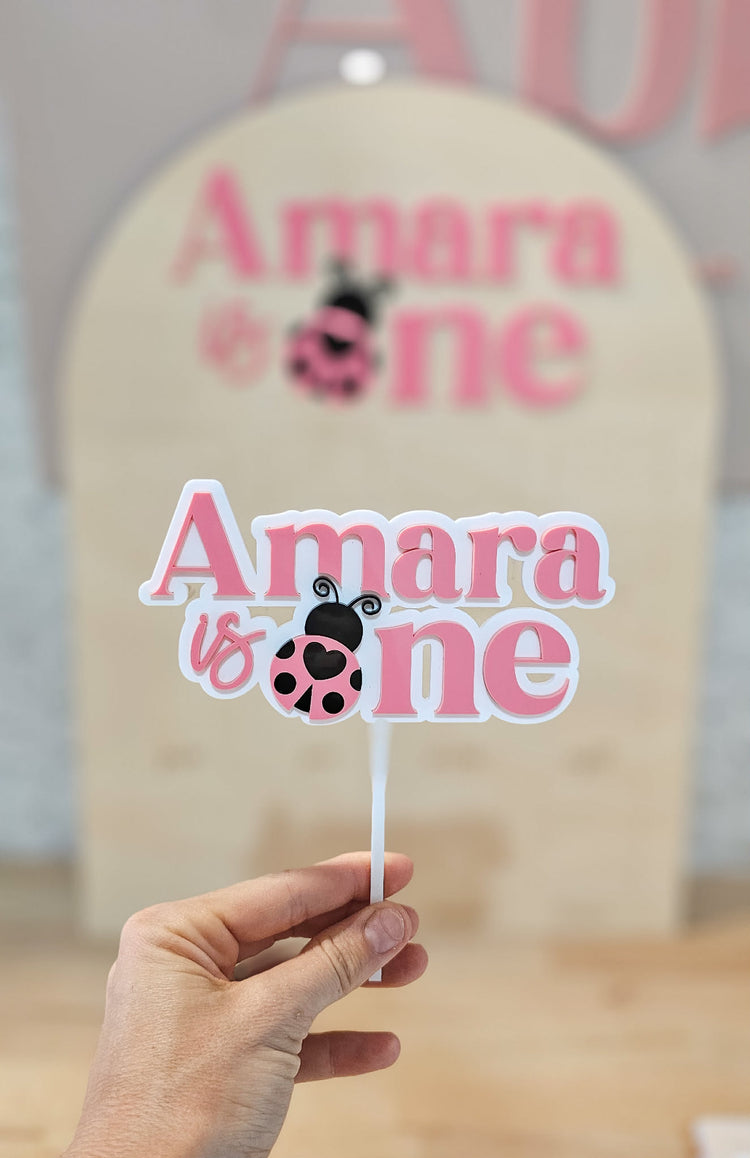 Ladybug First Year Photo Board & Cake Topper Bundle