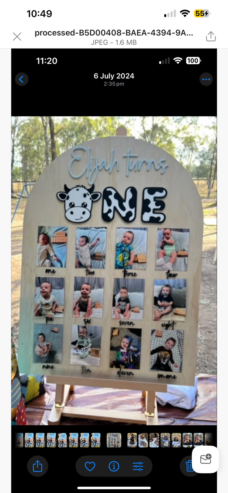 Ladybug First Year Photo Board & Cake Topper Bundle