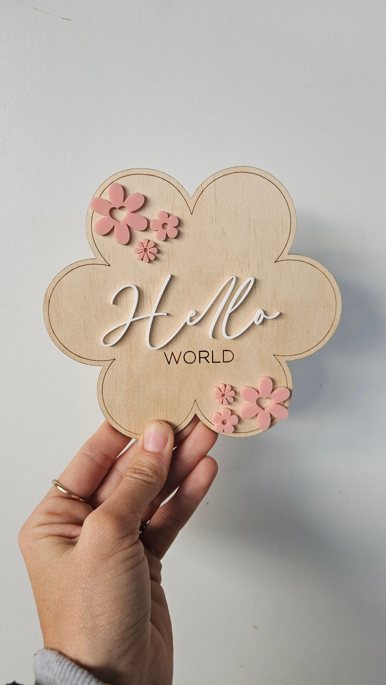 Hello world plaque