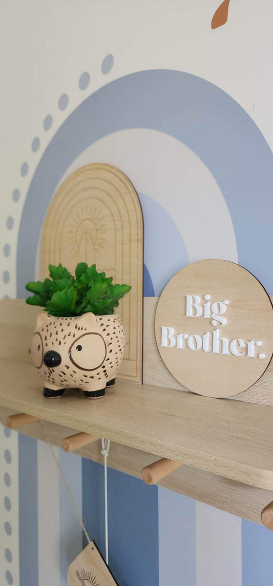 Big Brother/Sister Plaque